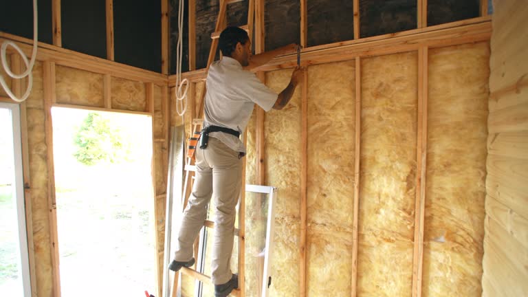 Best Commercial Insulation Services  in Wonder Lake, IL