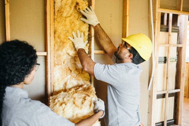 Best Eco-Friendly or Green Insulation Solutions  in Wonder Lake, IL