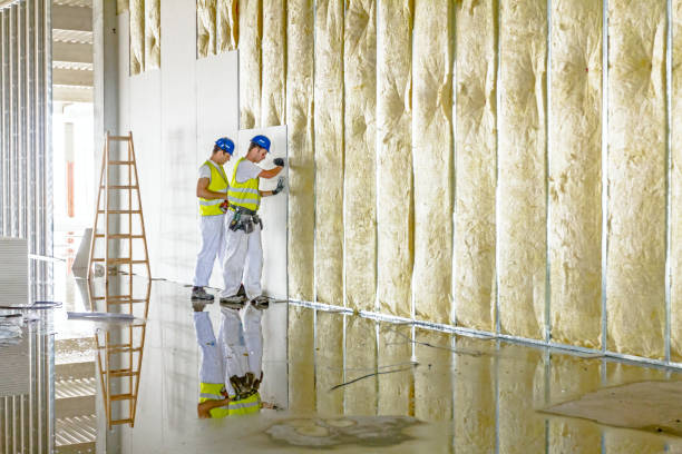 Best Blown-In Insulation  in Wonder Lake, IL